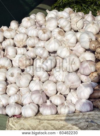 Fresh Garlic Cloves
