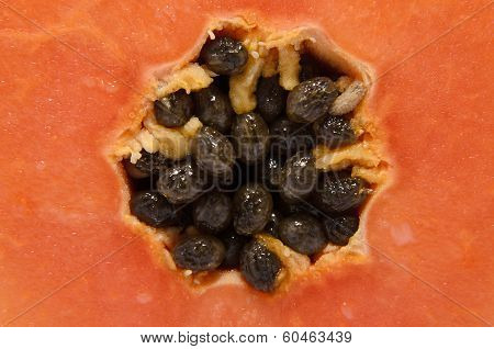 Close up of papaya fuit and seeds on white background