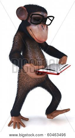 Monkey