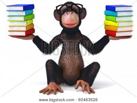 Monkey