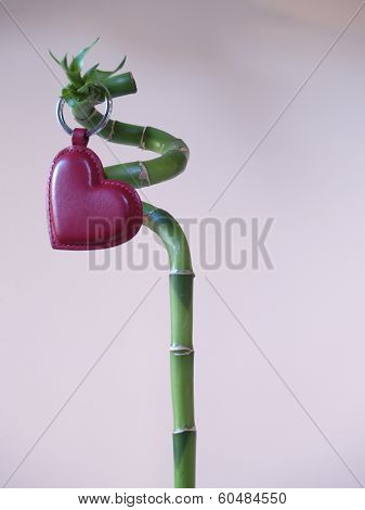Lucky Love II (Bamboo stick & heart)