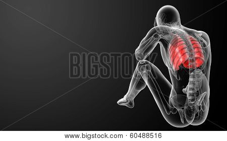lung