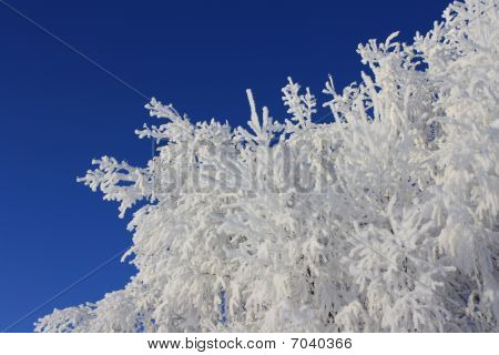 Winterscape