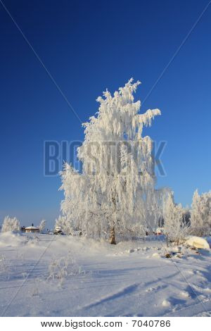 Winterscape