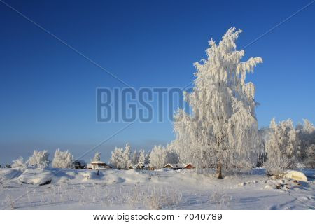 Winterscape