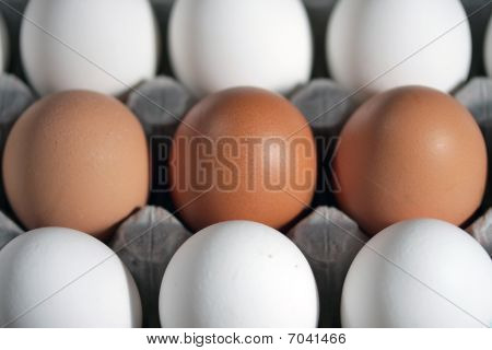 Eier