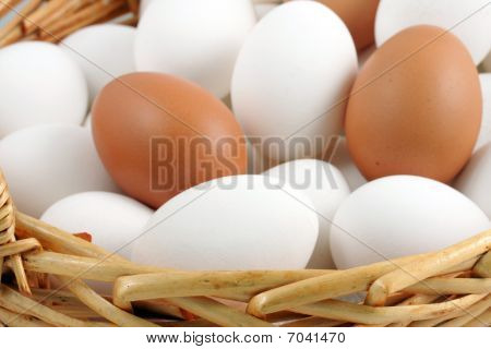 Eier