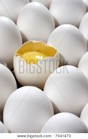 Eier