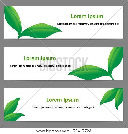 Banners with green leaves
