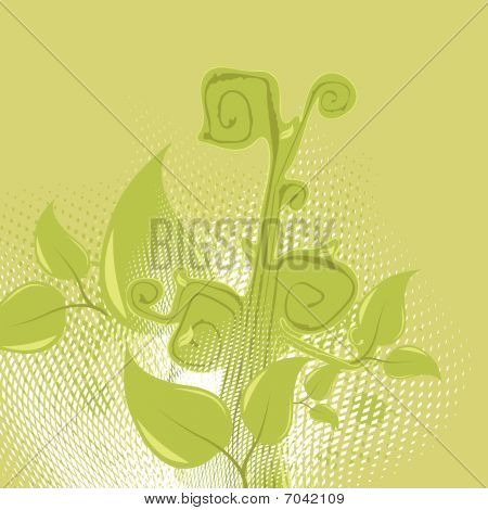 floral background