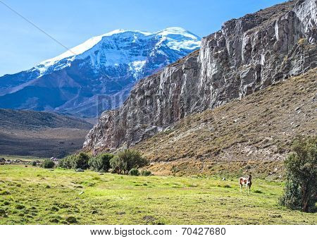 View of the Chimborazo volcano