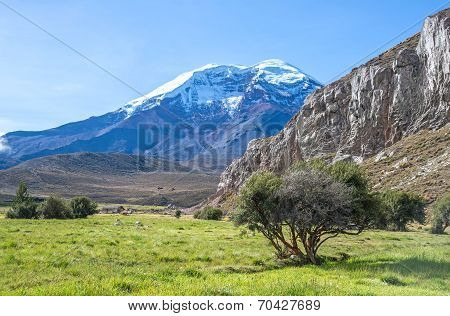 View of the Chimborazo volcano