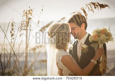 Newly Wedd