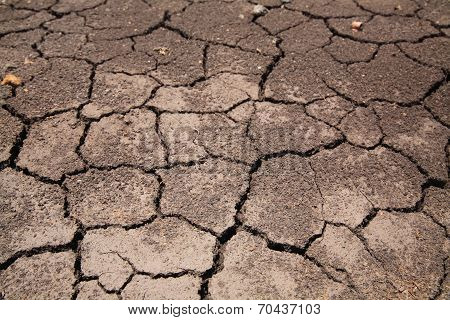 Dry Cracked Earth Background