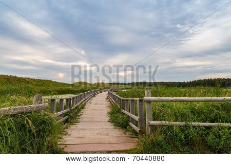 A Wooden Bridge Over A Marsh In The Cavendish Dunelands