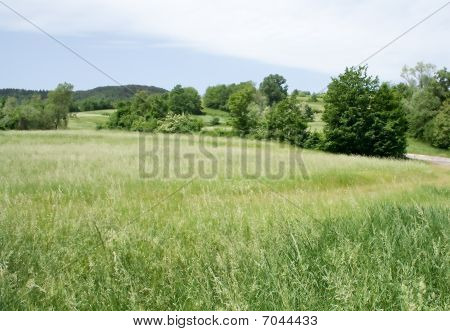 Paisagem