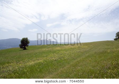Paisagem