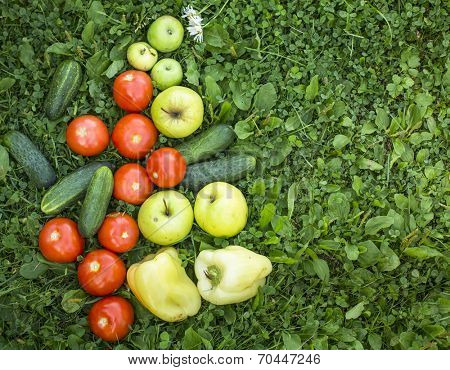 Fruits and vegetables lying in the grass. Cucumbers, tomatoes, peppers, apples.