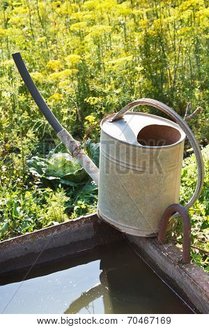 Handshower On Basin With Water For Garden