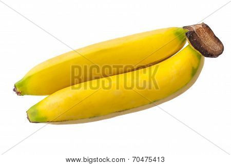 Golden Banana - Fresh Fruit