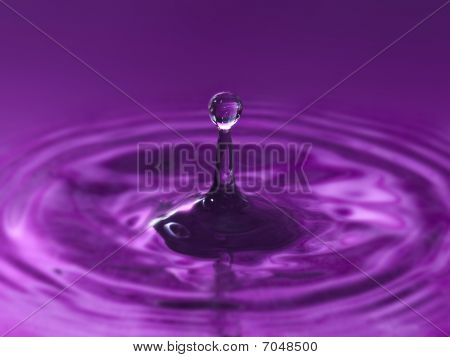 Purple Rain Drop