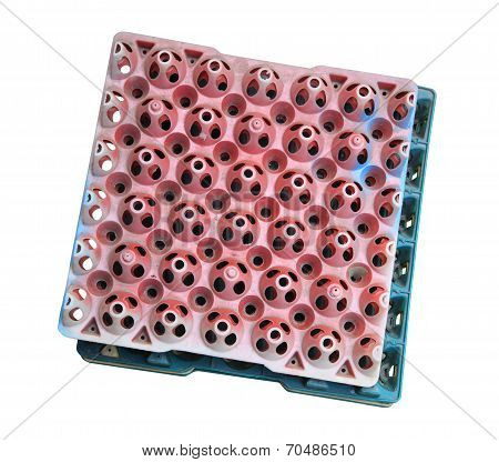 Plastic Egg Trays Isolated On White