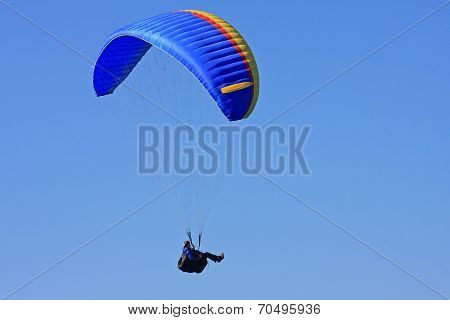 Paraglider