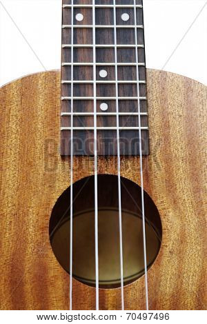 Guitar Soundhole, Bridge, and Fingerboard under the white background