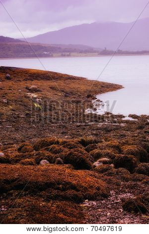 Bleak coastline