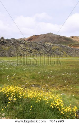 Iceland