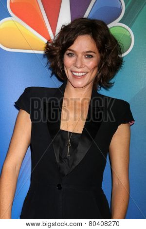LOS ANGELES - DEC 16:  Anna Friel at the NBCUniversal TCA Press Tour at the Huntington Langham Hotel on December 16, 2015 in Pasadena, CA