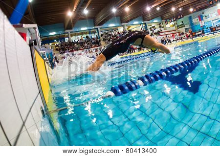 Milan - December  23:  Veronica Neri   (italy)  Performing Backstroke  In  Swimming Meeting Brema Cu