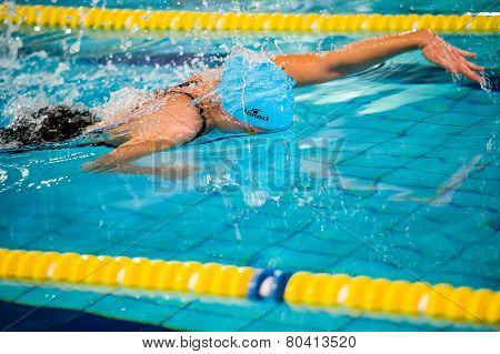 Milan - December  23:  E. Costa  (italy)  Performing Freestyle  In  Swimming Meeting Brema Cup On De