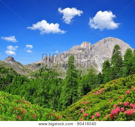 Dolomite peaks, Rosengarten ,Val di Fassa, Italy Alps 