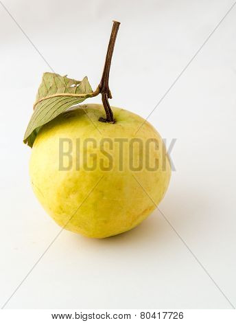Yellow guava with leaf