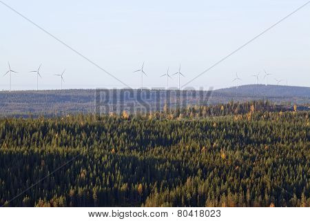 Early morning in the landscape up North.