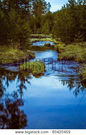 Mountain river