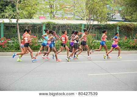 fitness marathon runners running on road