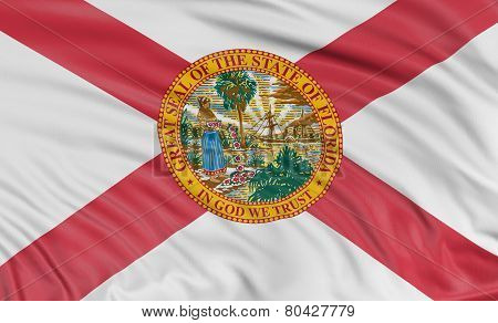 3D Florida Flag