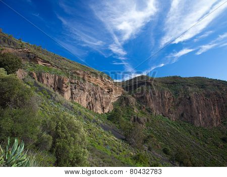 Gran Canaria, Caldera De Bandama After Winter Rains
