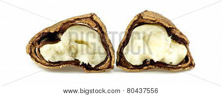 Brazil Nut Cracked Open Showing Inside Meat
