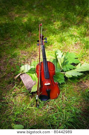 Violin on a grass and green leaves around
