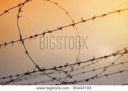 Barbed wire