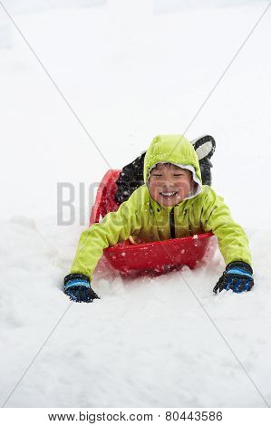Boy On Sledge