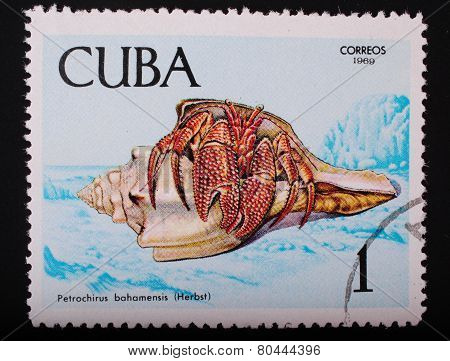 Cuba- Circa 1969: Postage Stamp Printed In Cuba Shows A Color Image Underwater Creatures Crab Bagems