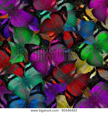 Exotic Colorful Background Made Of Autumn Leaf Butterflies In A Great Texture