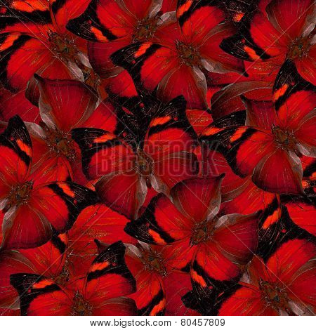 Exotic Red Background Made Of Autumn Leaf Butterflies In A Great Compilation Texture