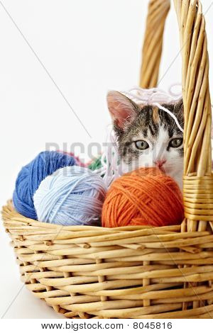 Katze-Spiel mit Garn