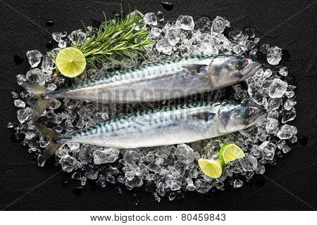 Fresh Fish On Ice On A Black Stone Table Top View