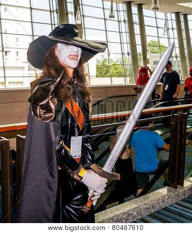 Raleigh, NC, USA - May 23, 2014 - Animazement 2014